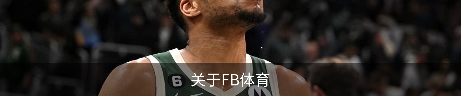 关于FB体育